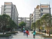 重庆奉节汽车职业教育中心2020年招生录取分数线