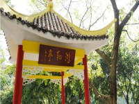 重庆工业汽车学校2020年招生录取分数线