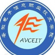 安徽电子信息汽车职业技术学院