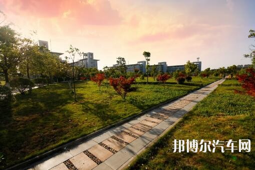 安徽电子信息汽车职业技术学院是几专