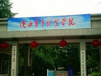 陕西青年汽车职业学院灞桥校区2020年招生录取分数线