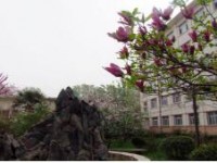 西安航天工业汽车学校2020年招生录取分数线