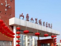 山东工业汽车职业学院2020年招生录取分数线