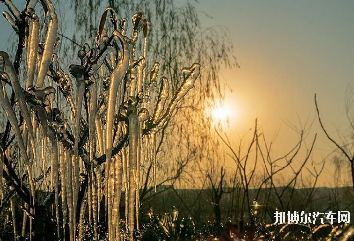 山东水利技师汽车学院有哪些专业