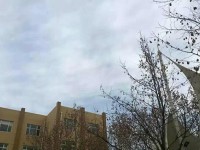 石家庄华师经济管理汽车中等专业学校2020年招生录取分数线