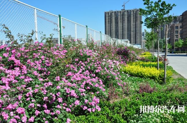 邯郸汽车职教中心报名条件、招生对象