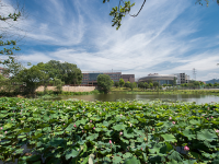 信阳师范学院华锐汽车学院2020年招生录取分数线