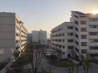 硅湖职业技术汽车学院2020年招生录取分数线