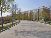 鹤壁汽车工程职业学院2020年招生代码