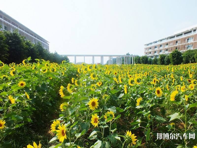 南宁职业技术汽车学院2019年招生代码