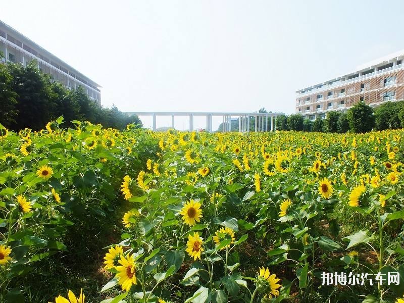 南宁职业技术汽车学院2019年有哪些专业