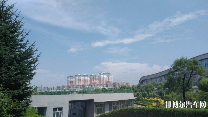 七台河职业汽车学院网站网址